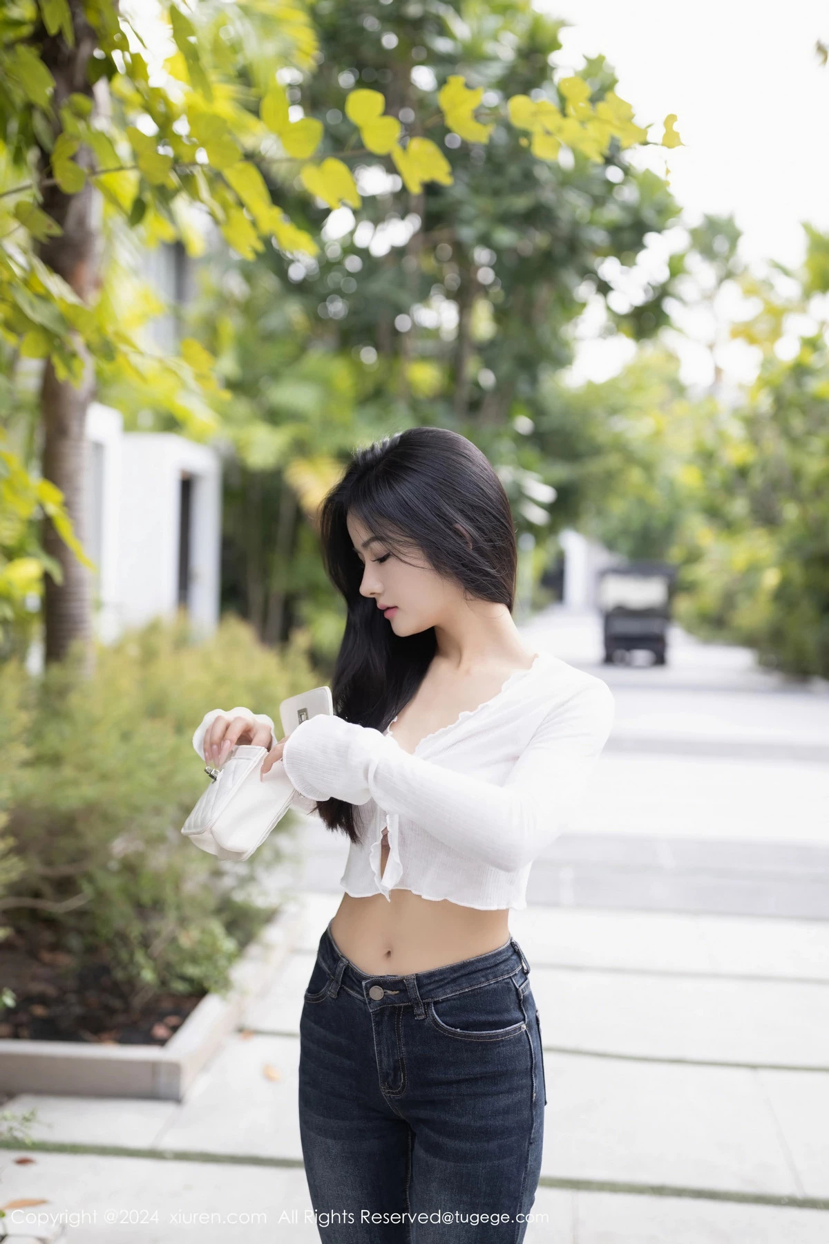 小茶茶