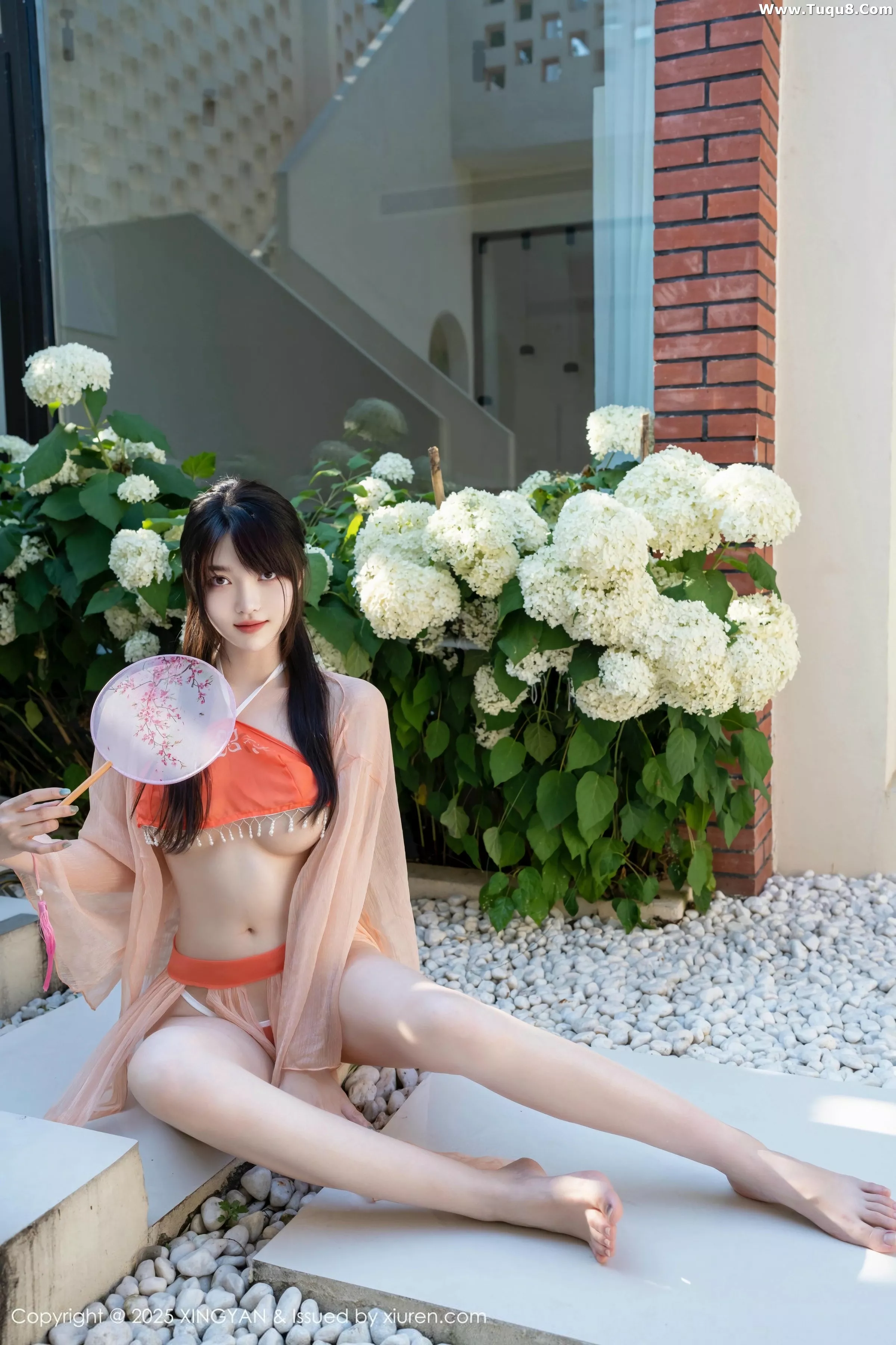白露